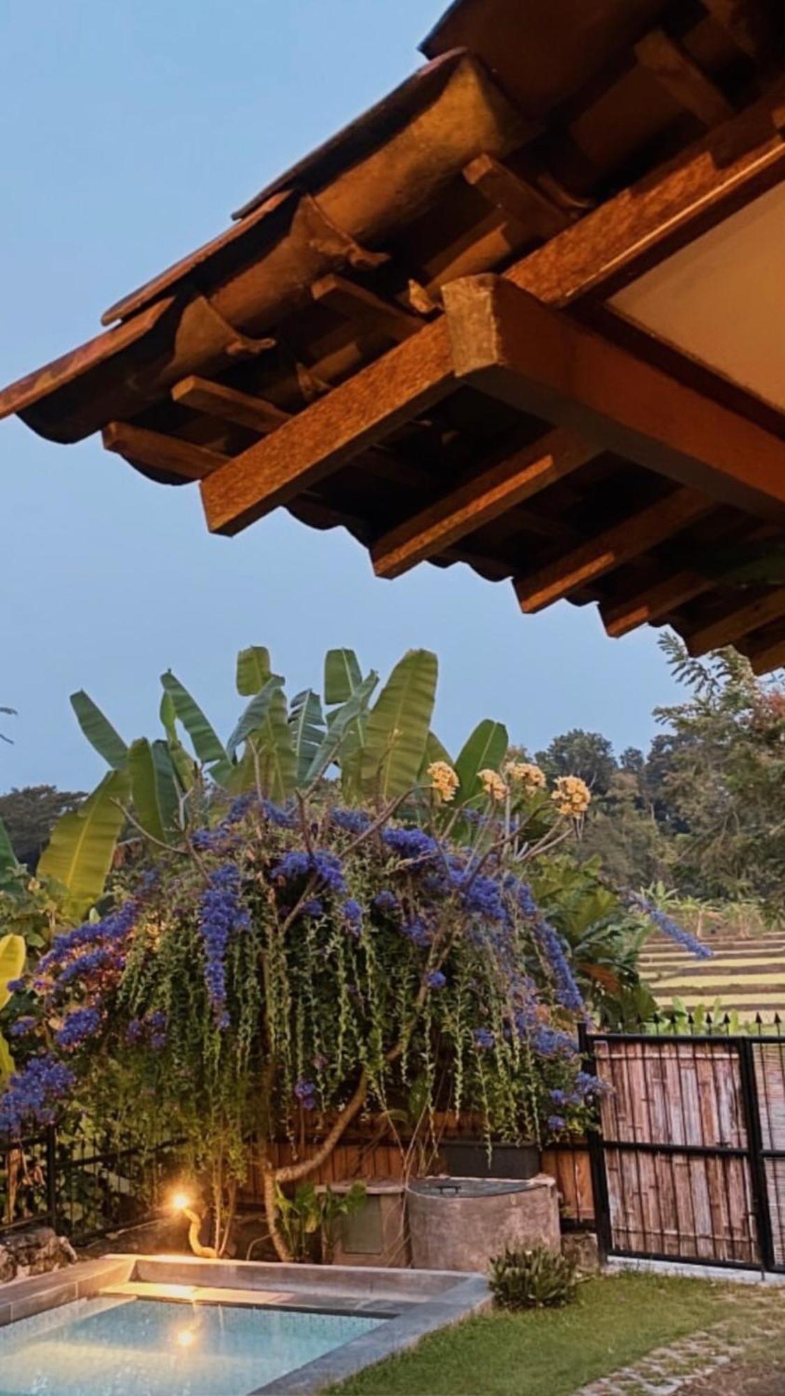 Nextdoor Nature Vakantiehuis Bantul