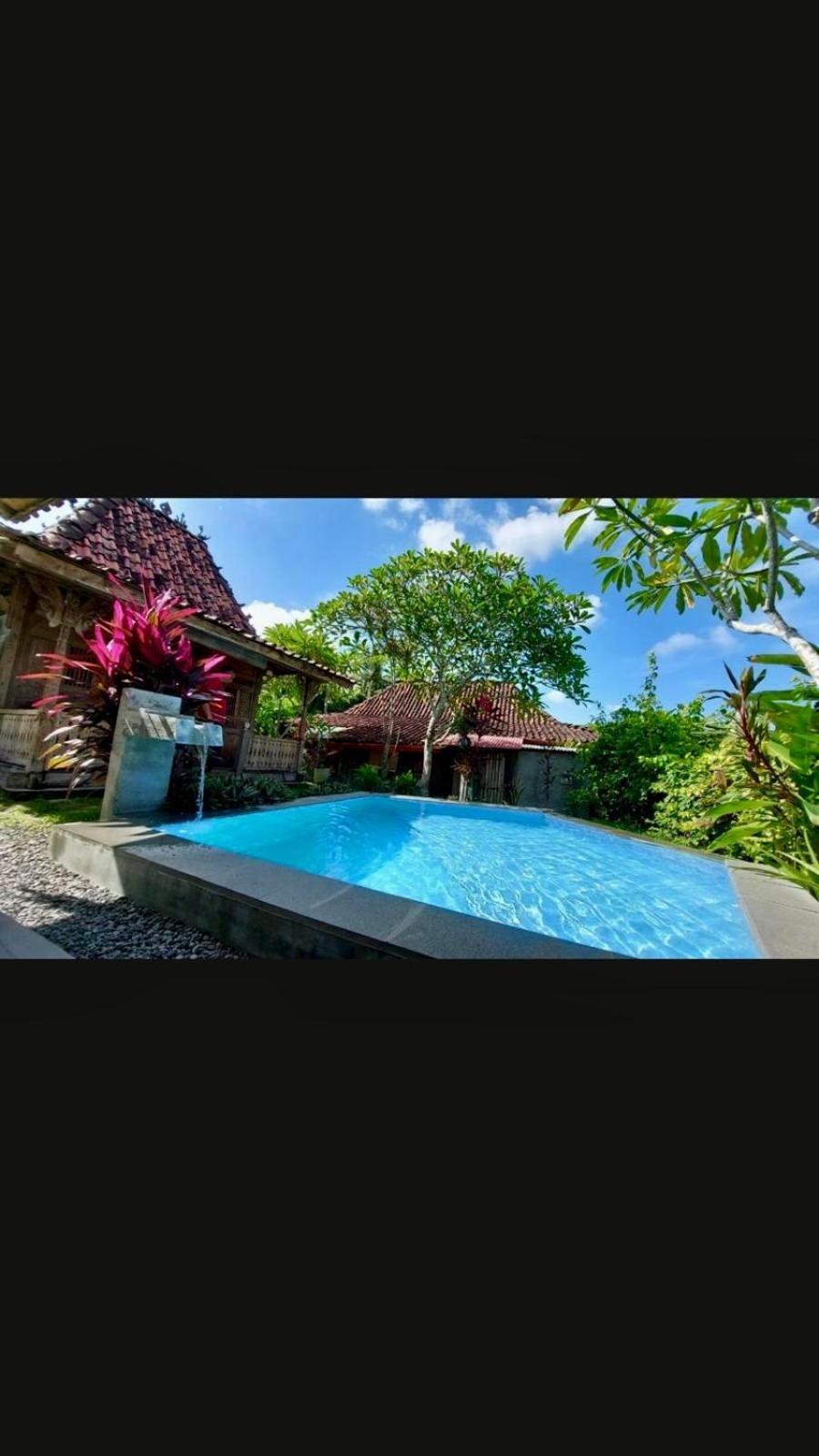 Nextdoor Nature Vakantiehuis *